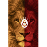 İmage Fire (Official Group)