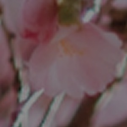 ♡