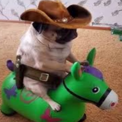 Pug meme Roblox decal