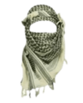 Praise lraq