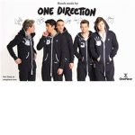 One Direction HUGE FANS