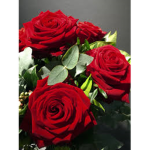 The De Rose Family