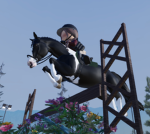 Horse Olympics