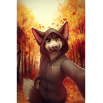 Furry Fan group!!!