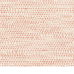 Spots The Baby Leopard Gecko Army