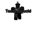 Team Strucid
