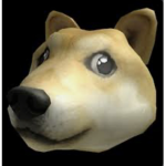 Doge head studios