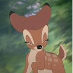 ʚ bambi ɞ
