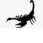 Brotherhood of The Scorpion