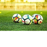Football fan base