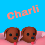 Charli forever Army
