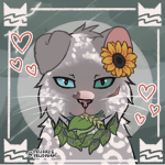 .+ ShellClan +.