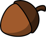 ACorn ®