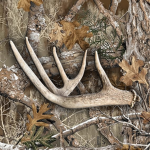 hunting co.