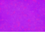 BratzBeauty
