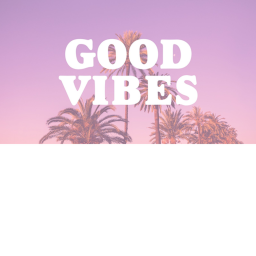 pinky vibe place