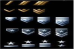 ONLY These Ranks In Halo Reach