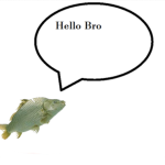 Grand Fish Nation
