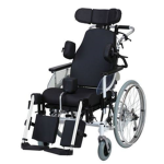 wheelchair fanclub