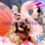 -Jake’s Apparel-