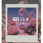 Wildflower Co