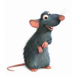 *We're The Rats*