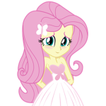 Fluttershy's Fans & Friends