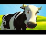 #CowtvNation