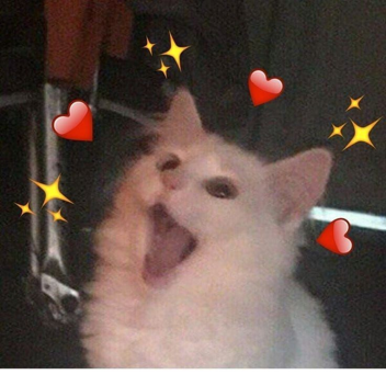 Itoshi teru ♡