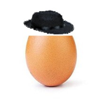 EGG MAFIA BOIS