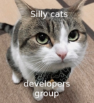 Silly cats developers group!