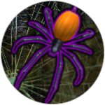 Pumpkin Spider Hunter