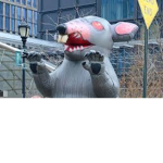 Rats and mice