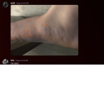 meepmerp221