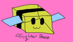 The Fighter Bee