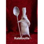 Ratat0uilles