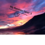 Flimingo fan that best fan group