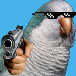 Birdy kermit group