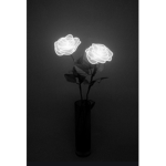 Aesthetic Roseee