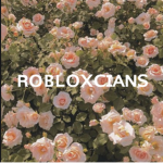 Robuxxxzfhsyshdhehdjfhru