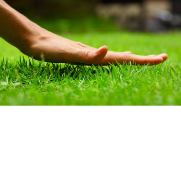 touch grass simulator