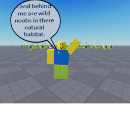 if noobs were your friend: POV