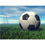 Poco's Soccer League