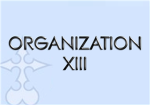 .Organization XIII.