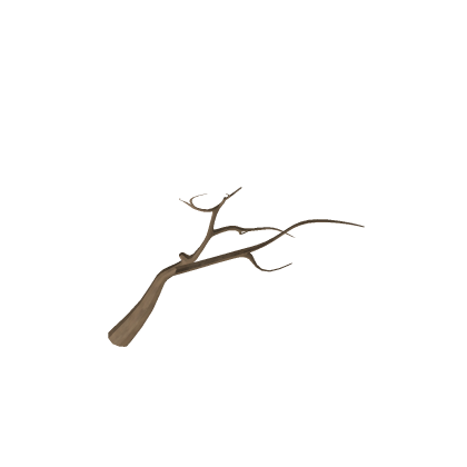 twig