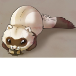 Ferretss squad