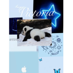 The panda is back