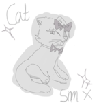 Cats studio x
