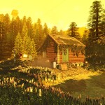 Morning Light [Showcase]