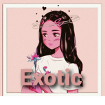 Exotic mix breed